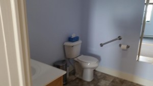 Finally a fully assessable bathroom for family and friends