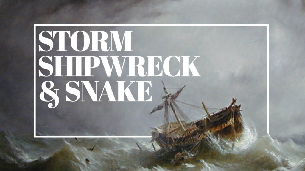 Storm, Shipwreck & Snake